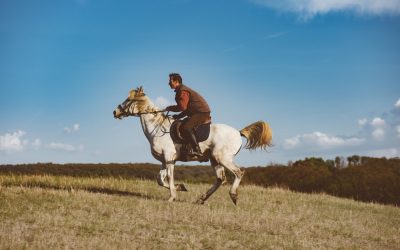 Kako naučiti jahati konja
